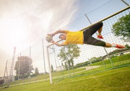 lapangan sepak bola