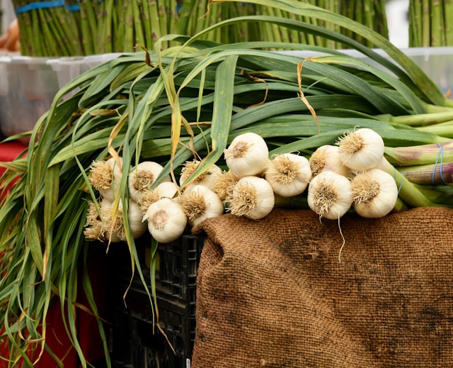 Bawang Putih. Foto: Unsplash