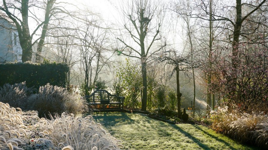 Winter Seasons, The Irish Times