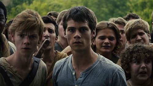 Maze Runner Pemeran