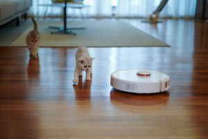 Rekomendasi vacuum robot affordable