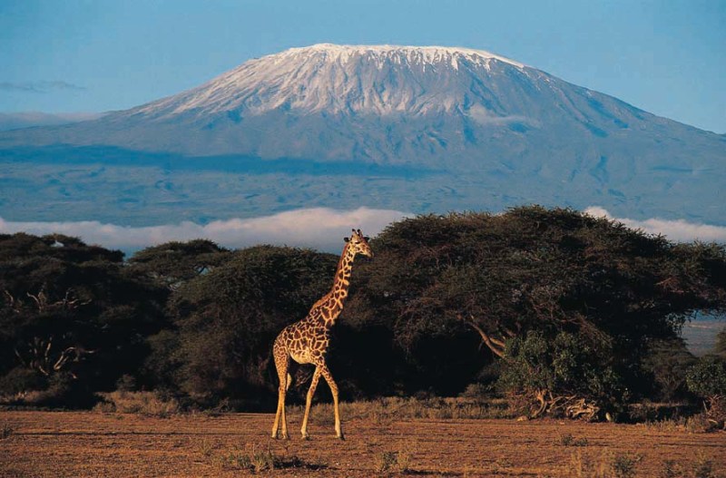 Gunung Kilimanjaro