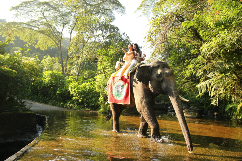 Taman Safari Bogor