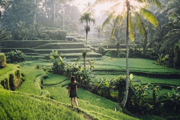 Wisata di Ubud