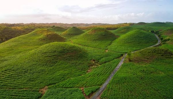 Bukit Teletubbies