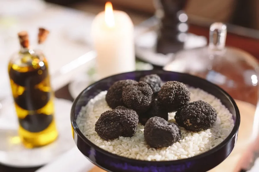 Fakta Menarik Truffle