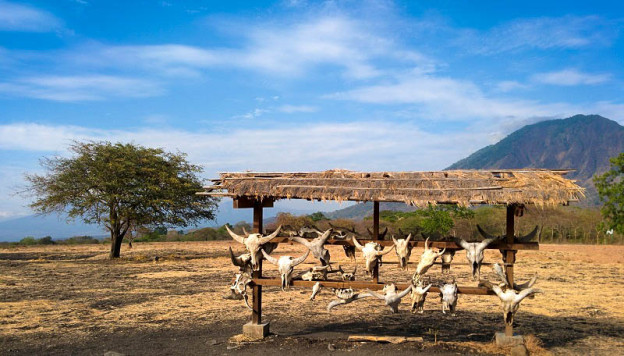 Taman Nasional Baluran