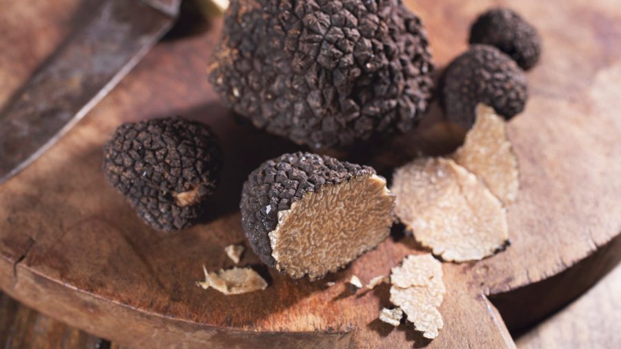 Truffle