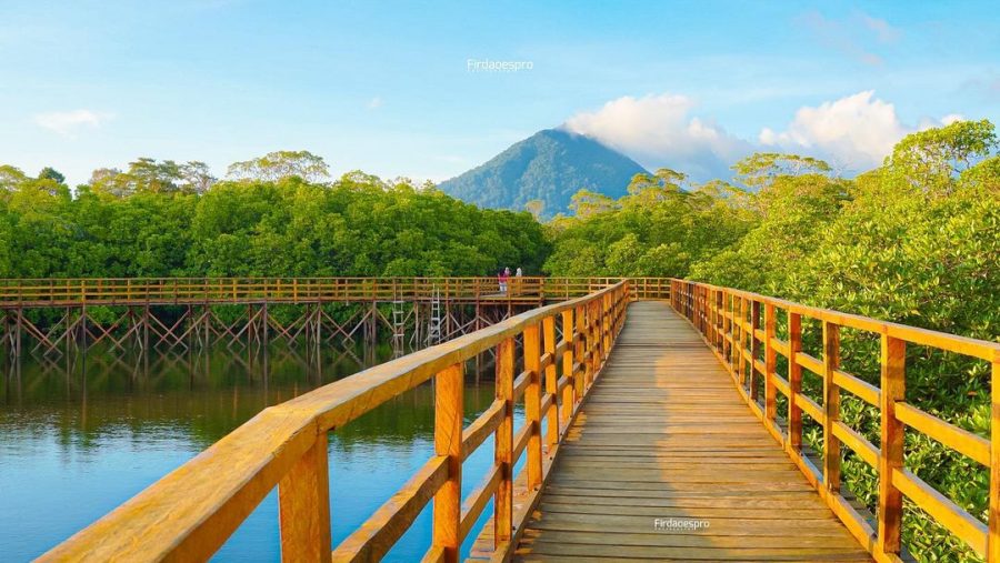 Wisata Mangrove