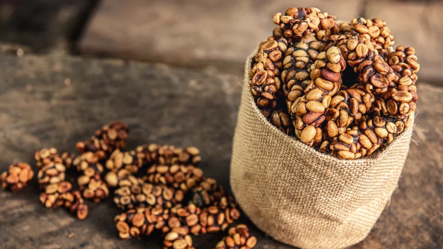 Kopi Luwak