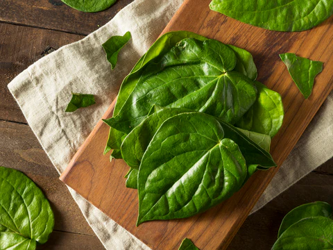 Manfaat Daun Sirih