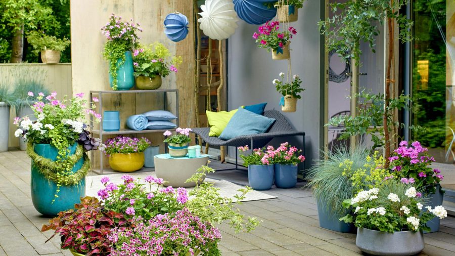 Berkebun di Lahan Sempit