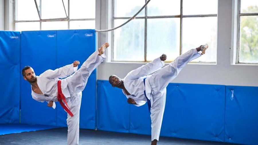 Karate dan Taekwondo
