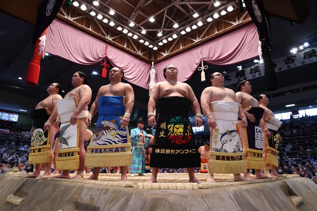 Sumo