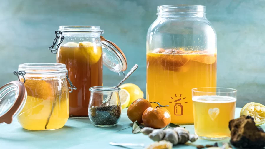 Manfaat Kombucha