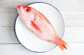 Memilih Ikan Segar