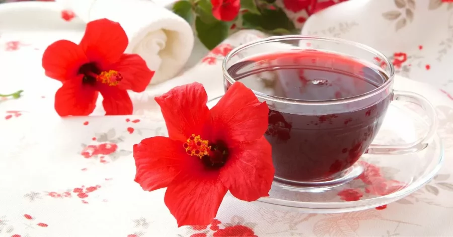 Teh Hibiscus