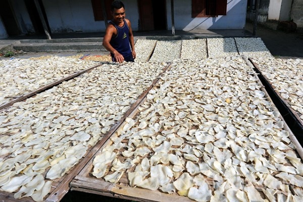 Keripik Gadung