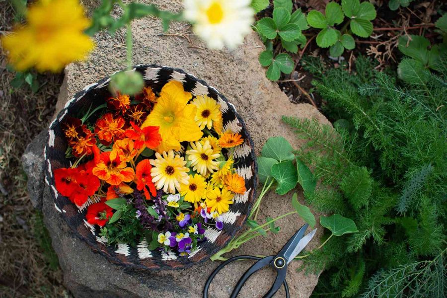 Edible Flower Garden