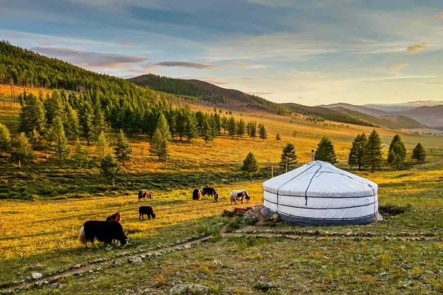 Eksplorasi Mongolia