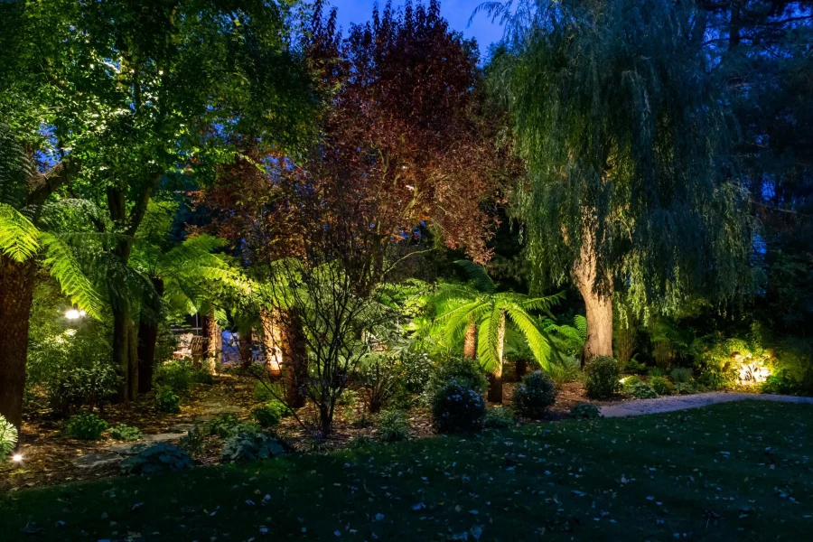 Kebun Malam