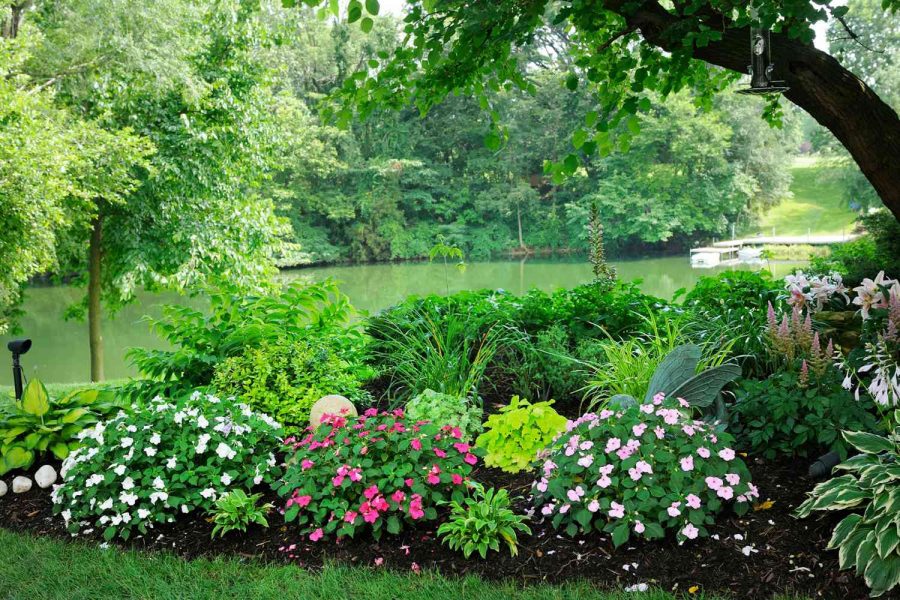 Shade Garden