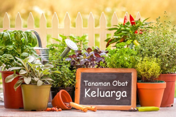 Taman Obat Keluarga