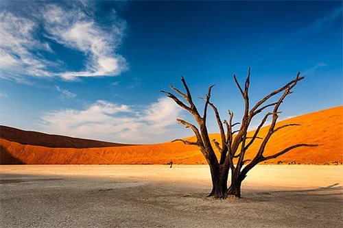 Traveling ke Namibia