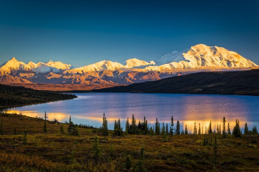 Denali National Park