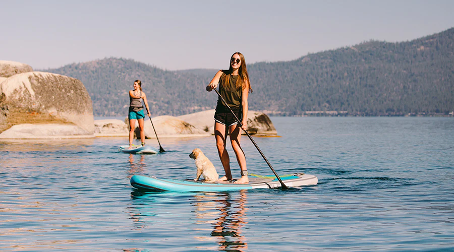 Stand Up Paddleboard