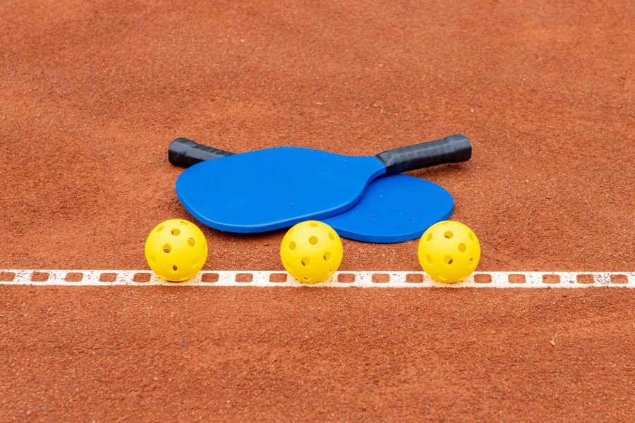 Olahraga Paddleball