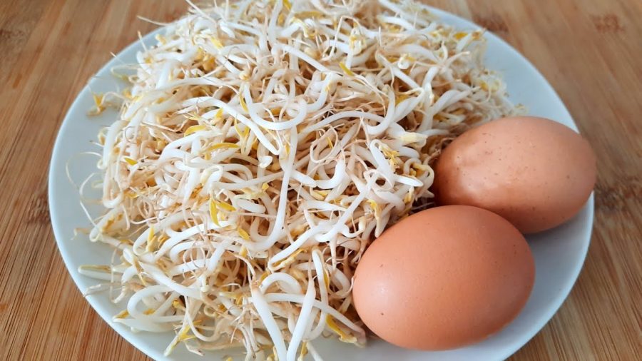 Olahan Taoge Sederhana