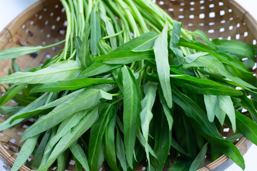 Sayuran Kangkung